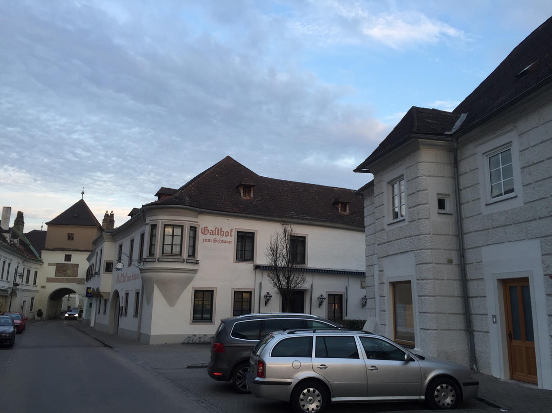Hotel Schwan主图