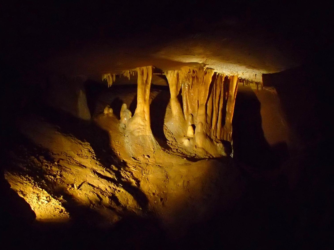 Cheongok Golden Bat Cave-东海市必去景点