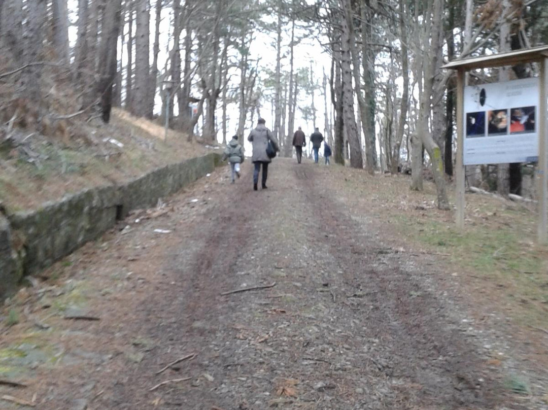 Parco delle Stelle景点图片
