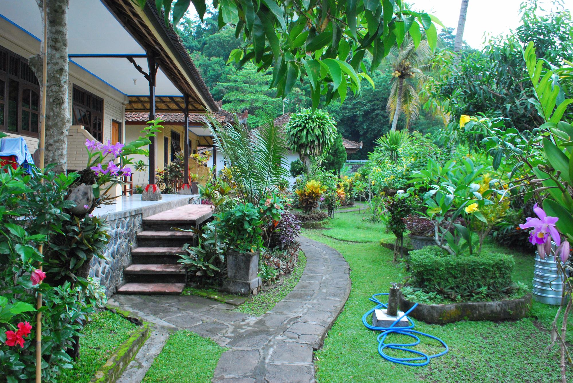 Homestay Rijasa-酒店景观