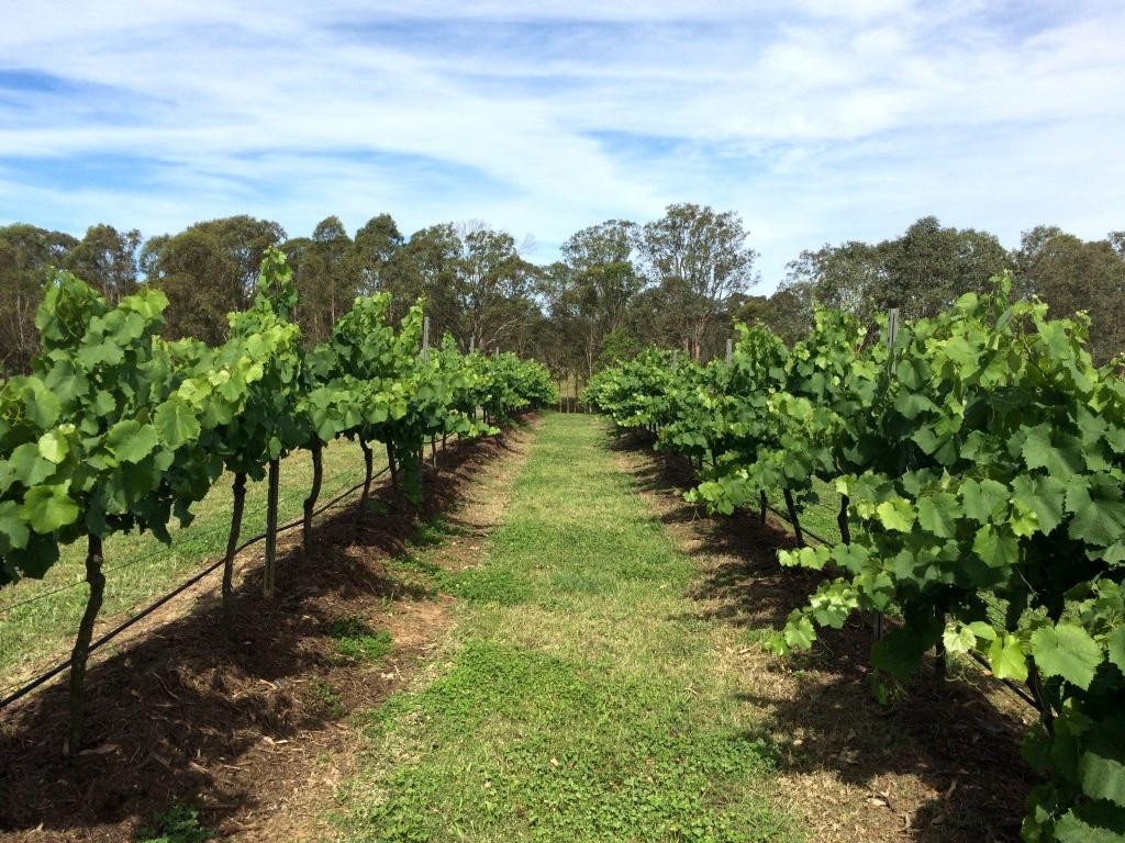 Blackwattle Luxury Retreats