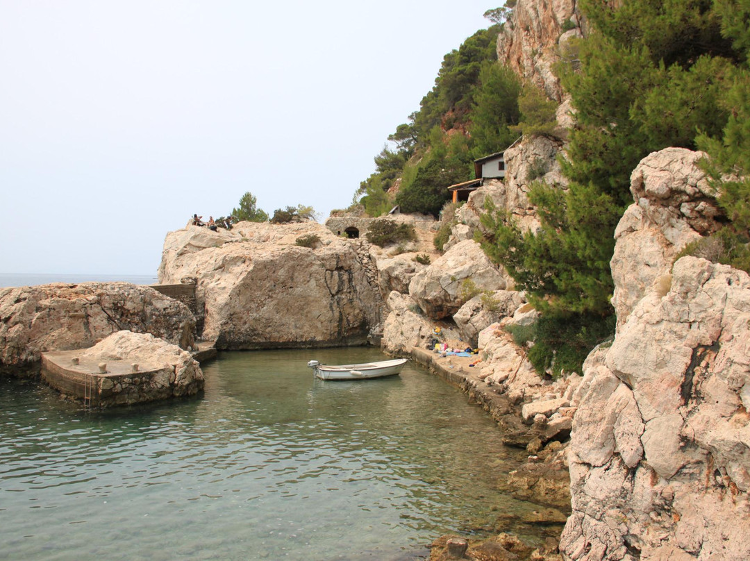 Exotic Beach景点图片