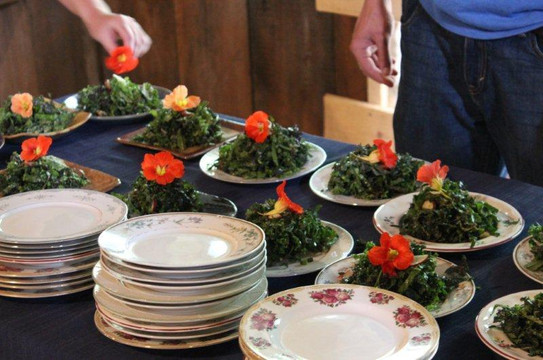 Stone Coop Farm-布莱顿必去景点