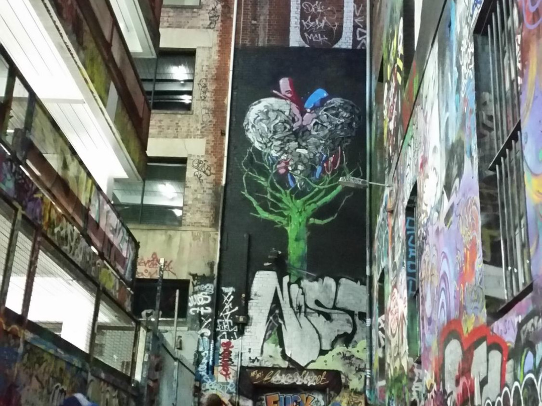 Lantern Ghost Tours-墨尔本必去景点