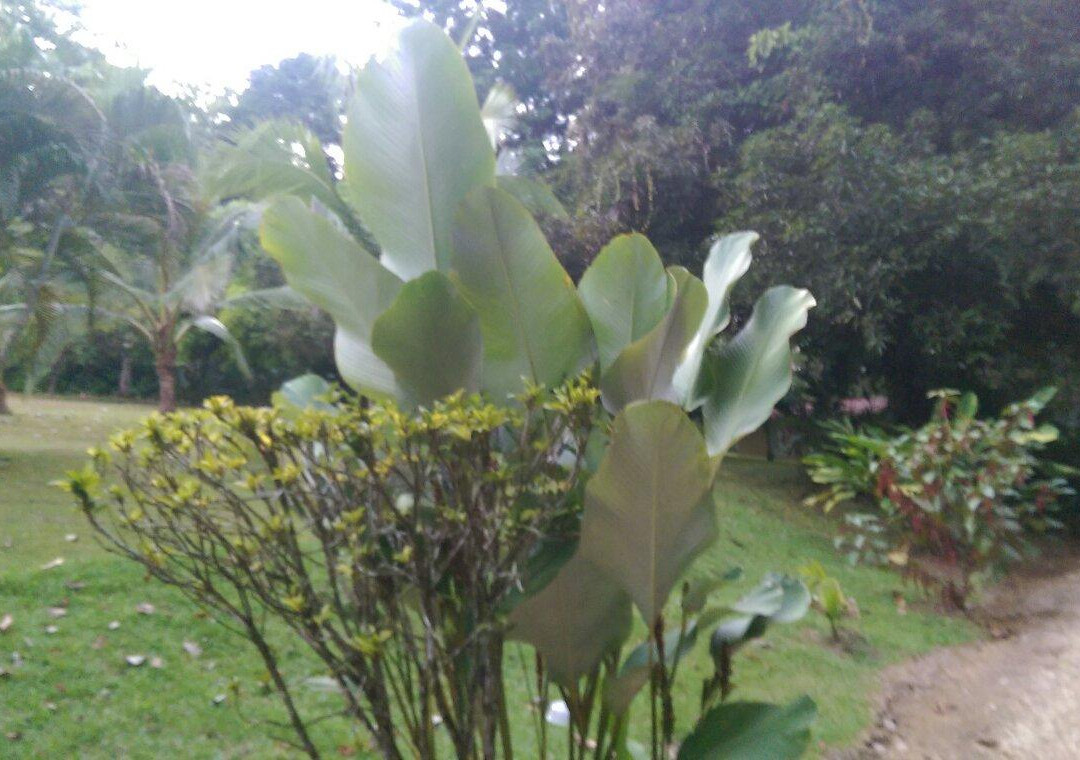 La Purruja Lodge主图