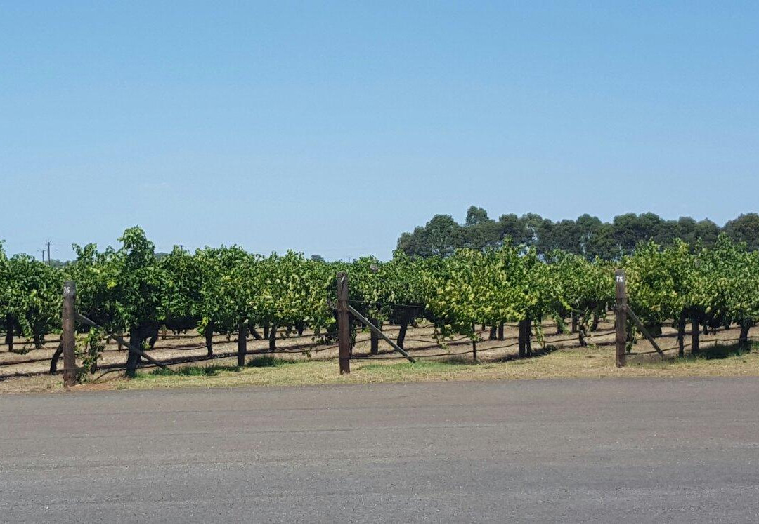 Brand's Laira-Coonawarra必去景点