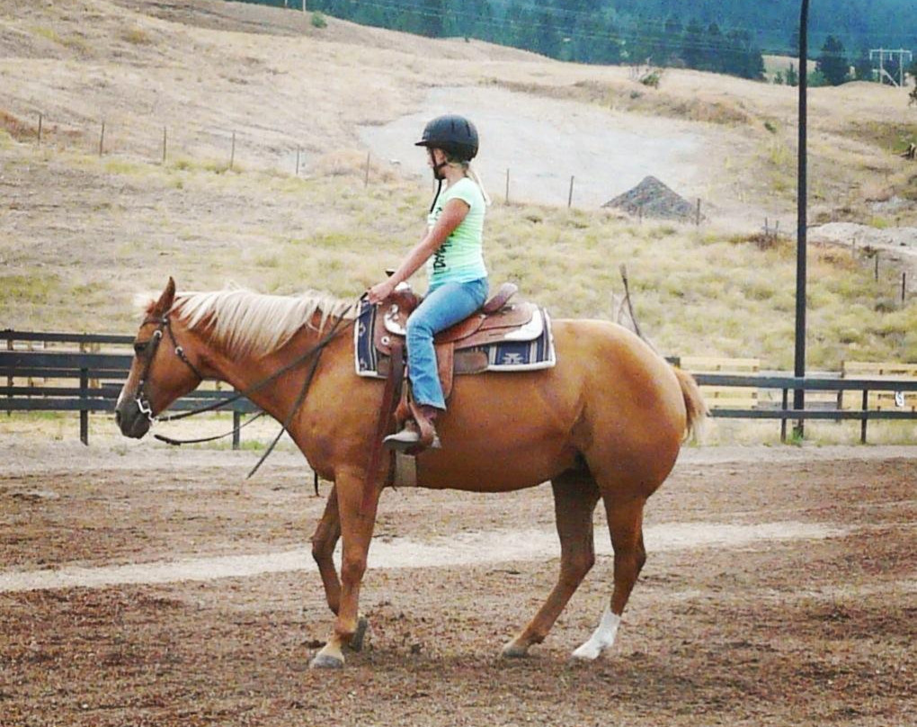 Bridlewood Riding Centre景点图片