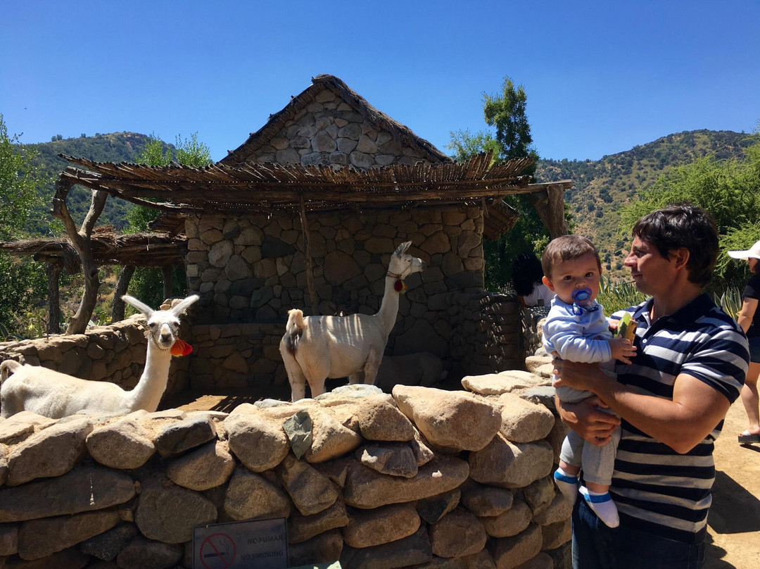 Museo Mapuche Ruka Mani