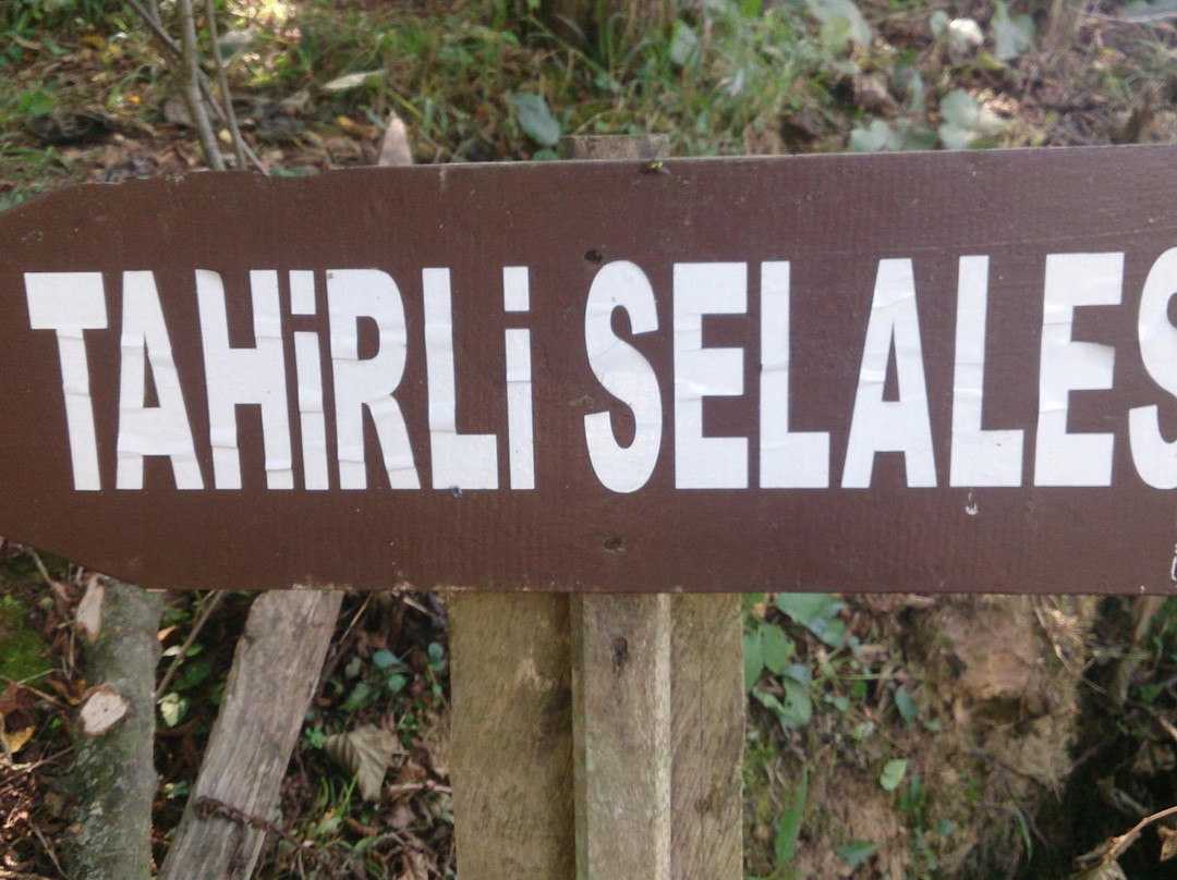 Tahirli Selalesi景点图片