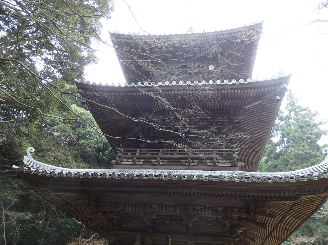 Nishiyama  Koryuji Temple-西条市必去景点