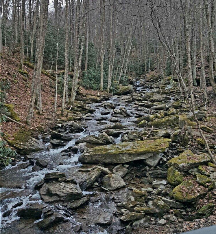 Beech Mountain Adventure Tours景点图片