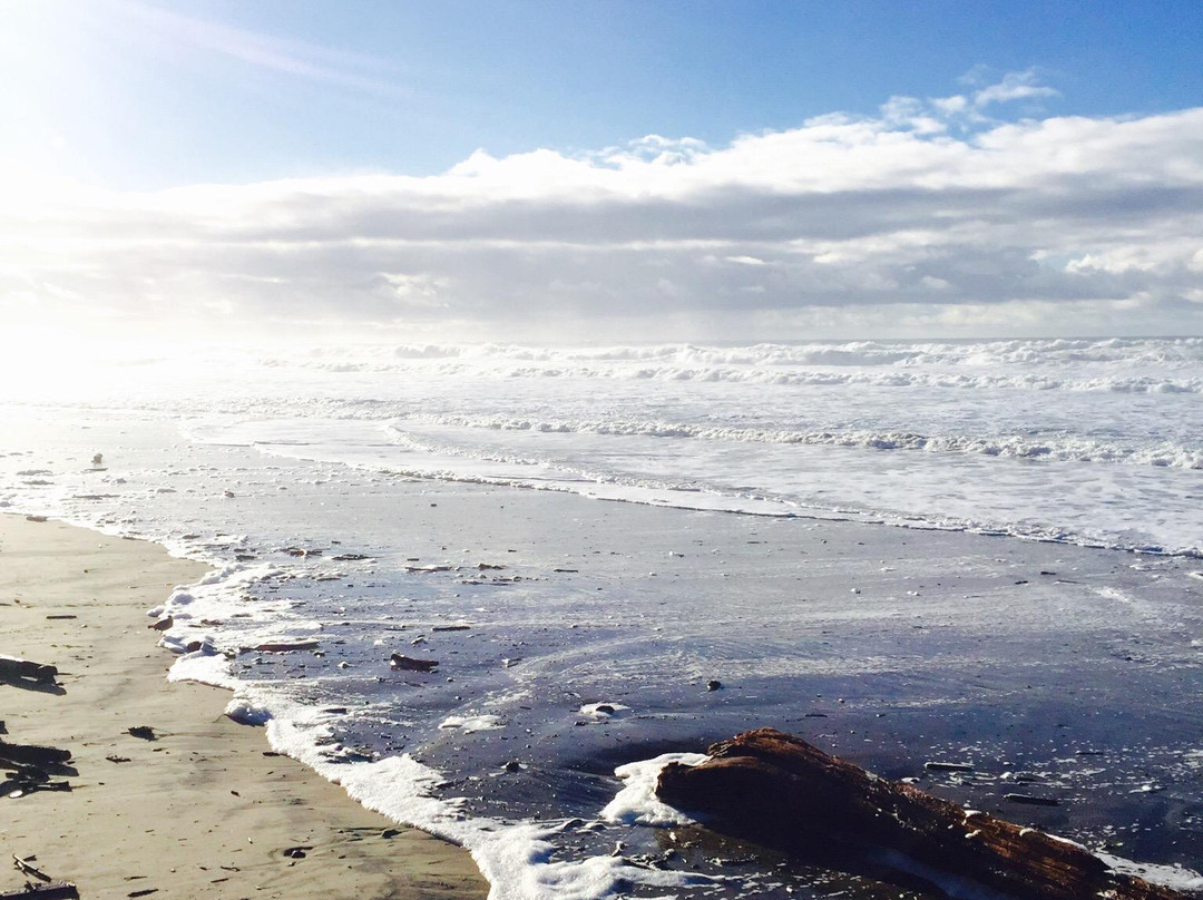 D River State Recreation Site-林肯城必去景点