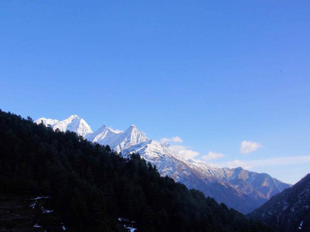 The Nest Hotel主图