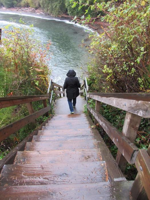 Arbutus Cove Park景点图片
