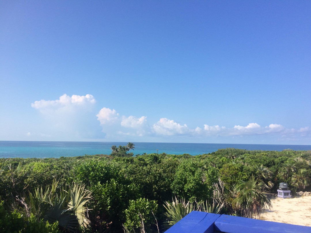 Coco Cay-Berry Islands必去景点