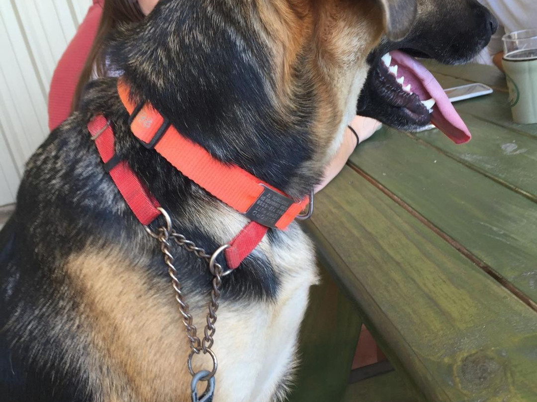 Lone Pint Brewery-Magnolia必去景点