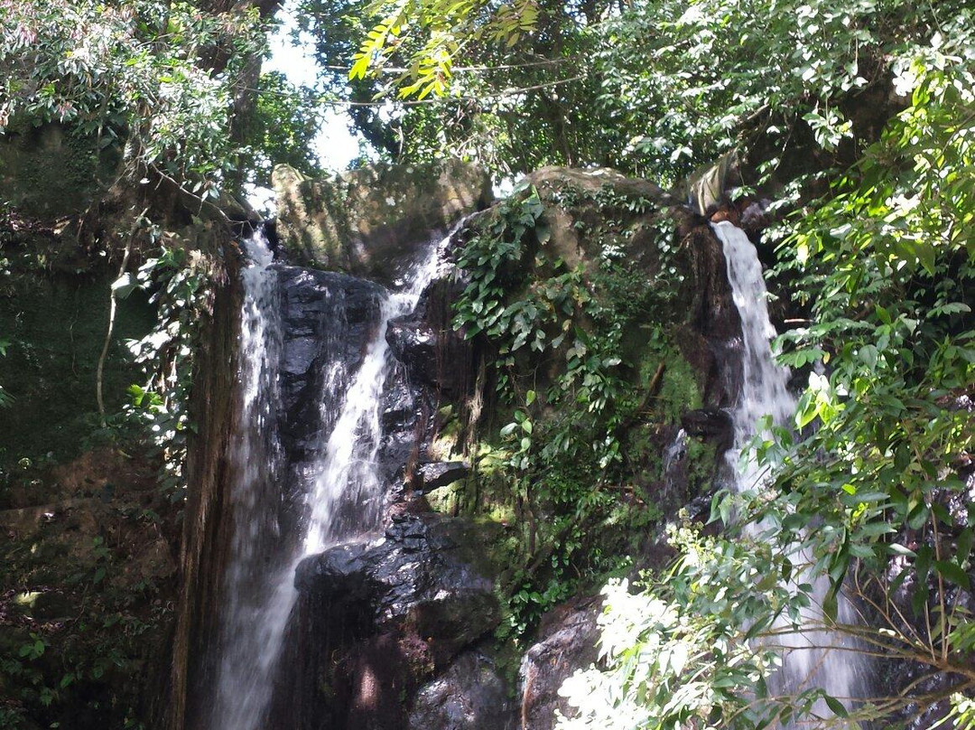 Yayas Falls景点图片
