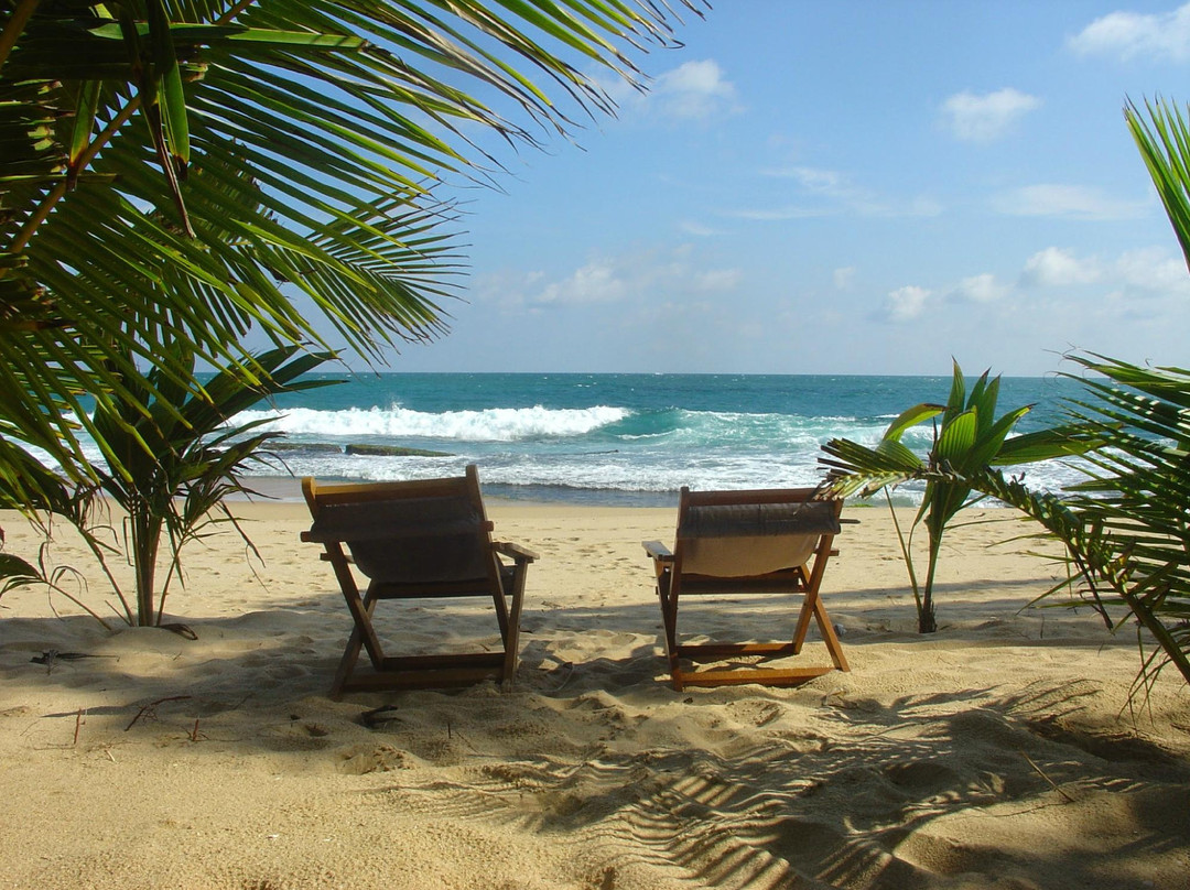 Patini Bungalows - Beach Garden