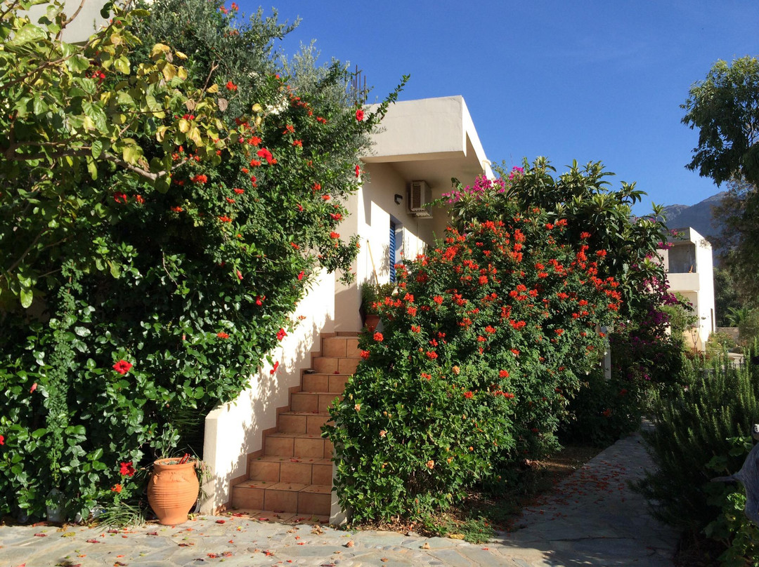 Fragokastello Star主图