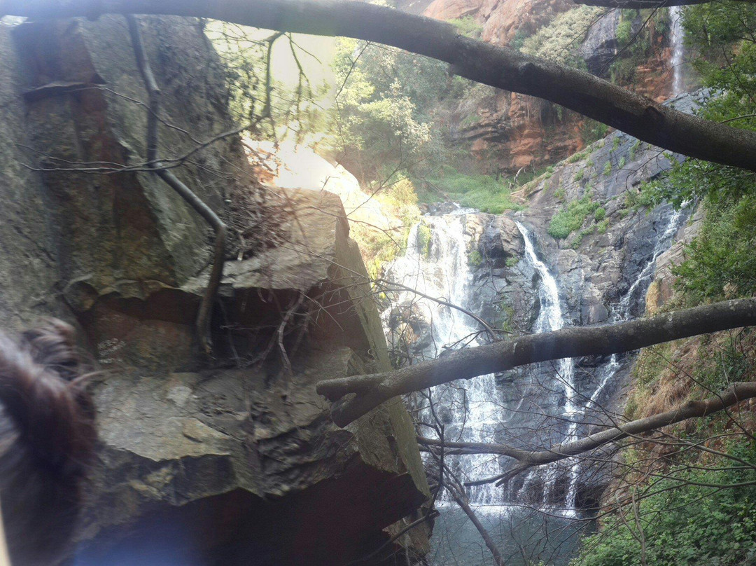 Walter Sisulu National Botanical Gardens景点图片
