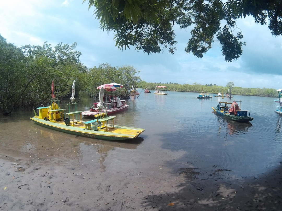 Rio Maracaipe-伊波茹卡必去景点
