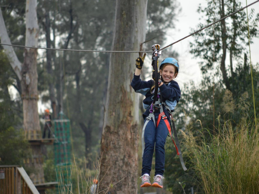 Treetops Adventure Yarramundi景点图片