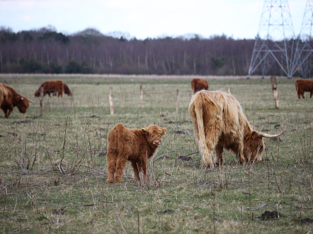 Landgoed Huis ter Heide