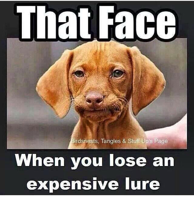 Watch Hill Outfitters-韦斯特利必去景点