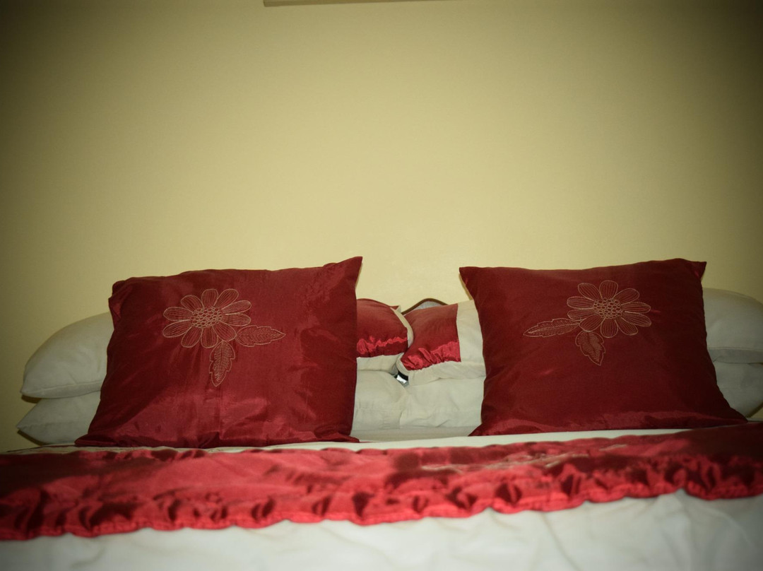 Hillside Bed and Breakfast Shannon主图