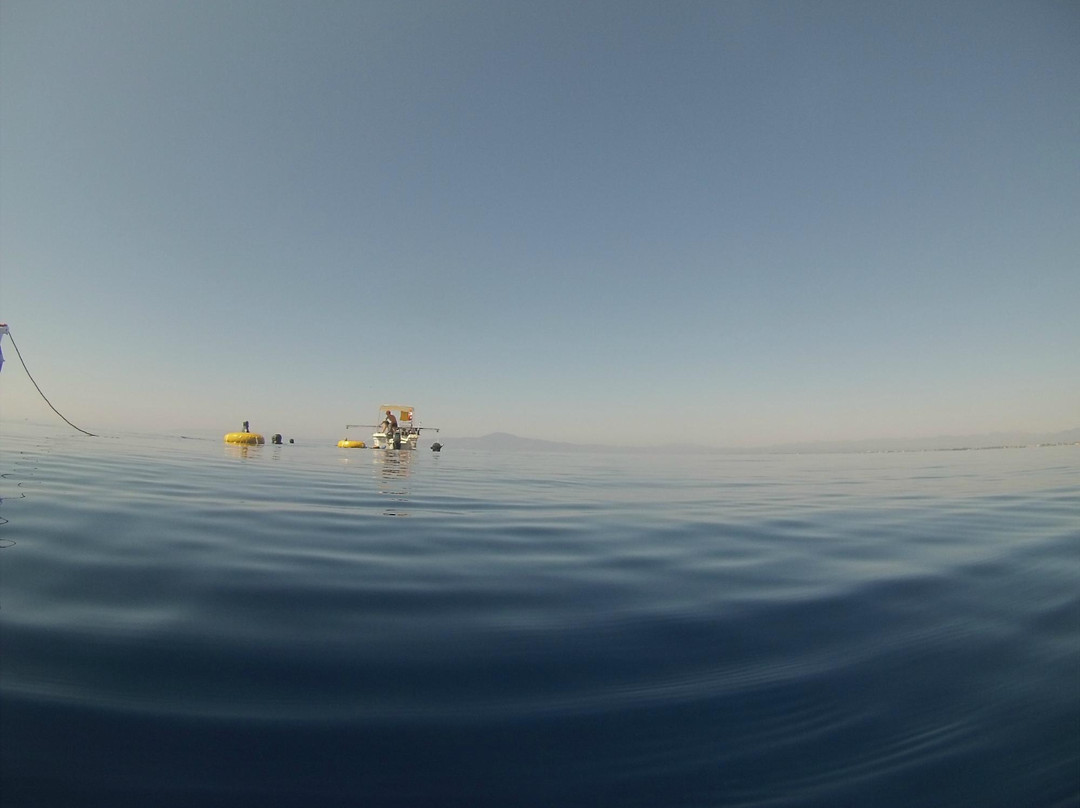 Freediving Club Greece景点图片