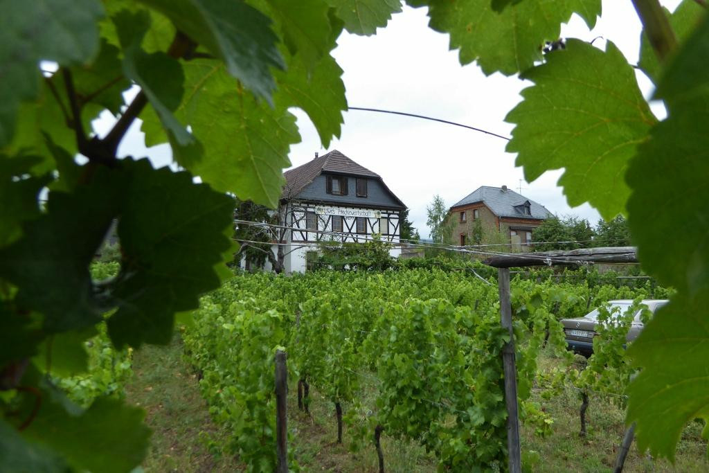 Uwe's Heckewertschaft
