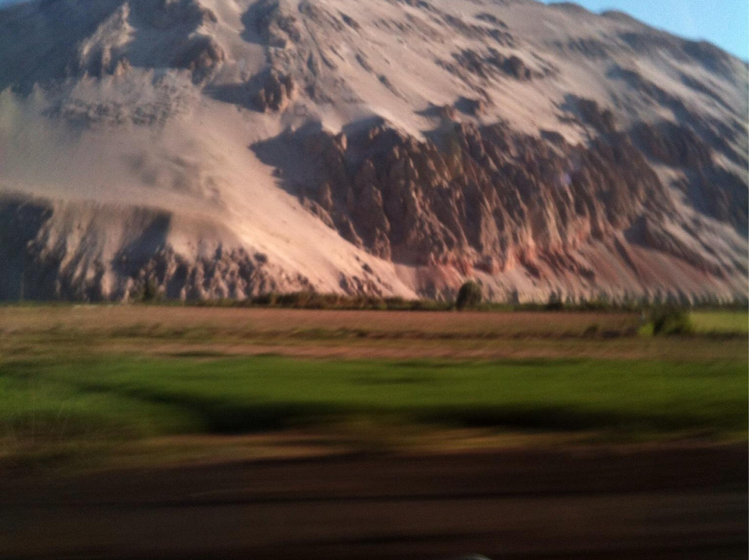 Humedal del Rio Lluta-阿里卡必去景点