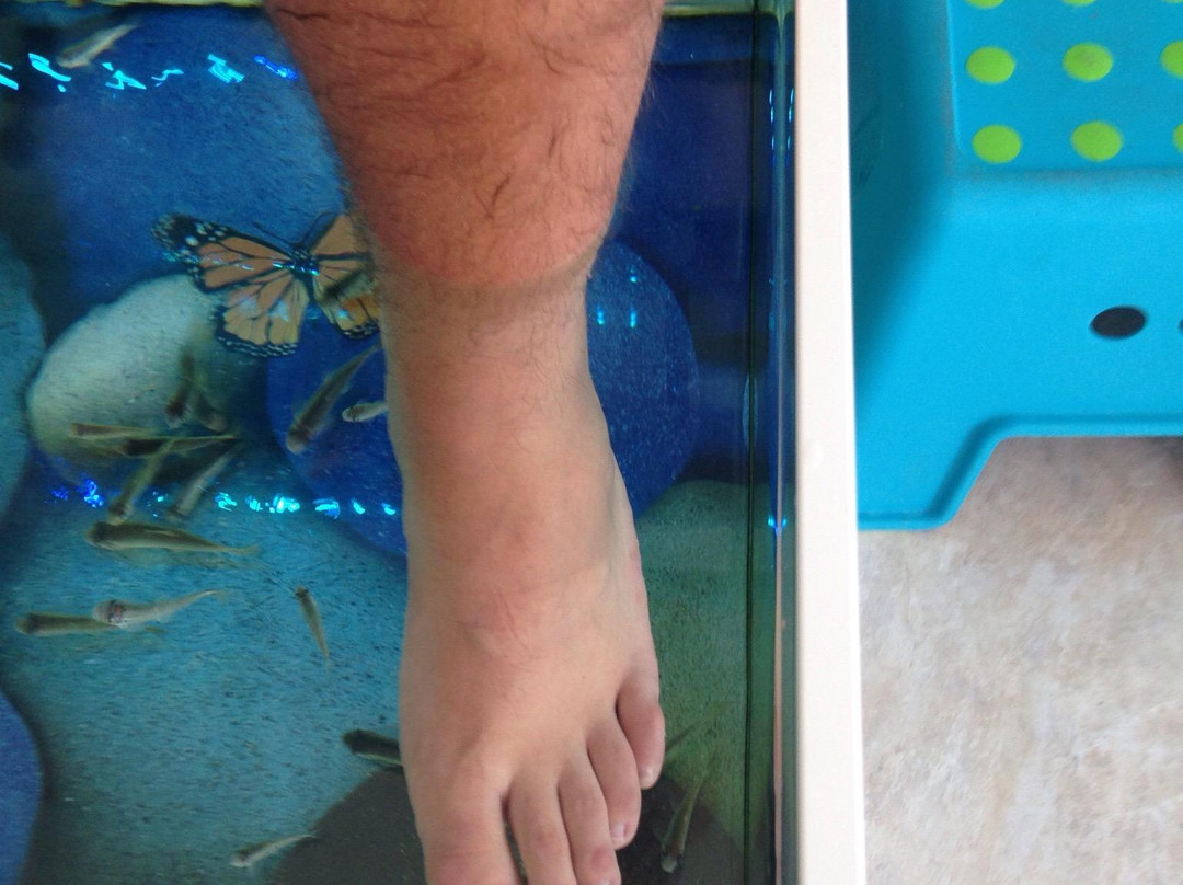 Fish & Feet-兰萨罗特必去景点