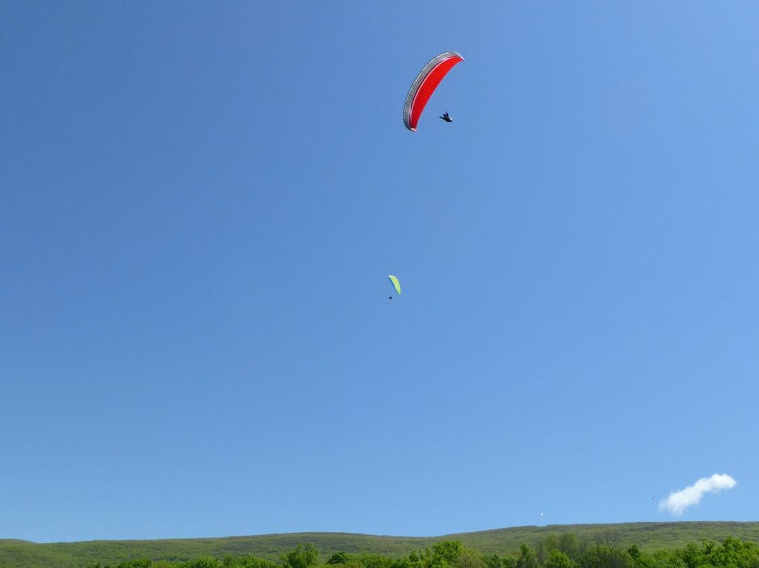 Let's Go Paragliding-Millerton必去景点