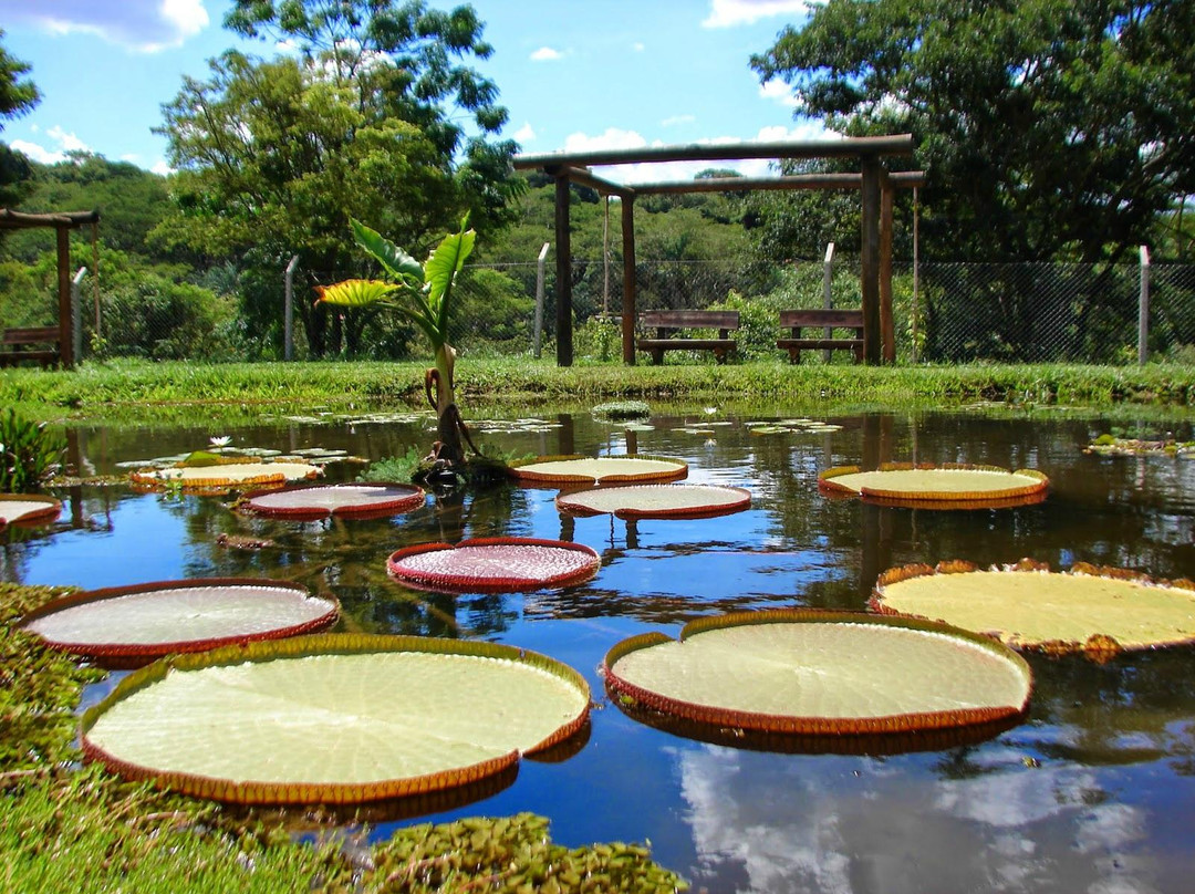 Municipal Botanical Garden of Bauru景点图片