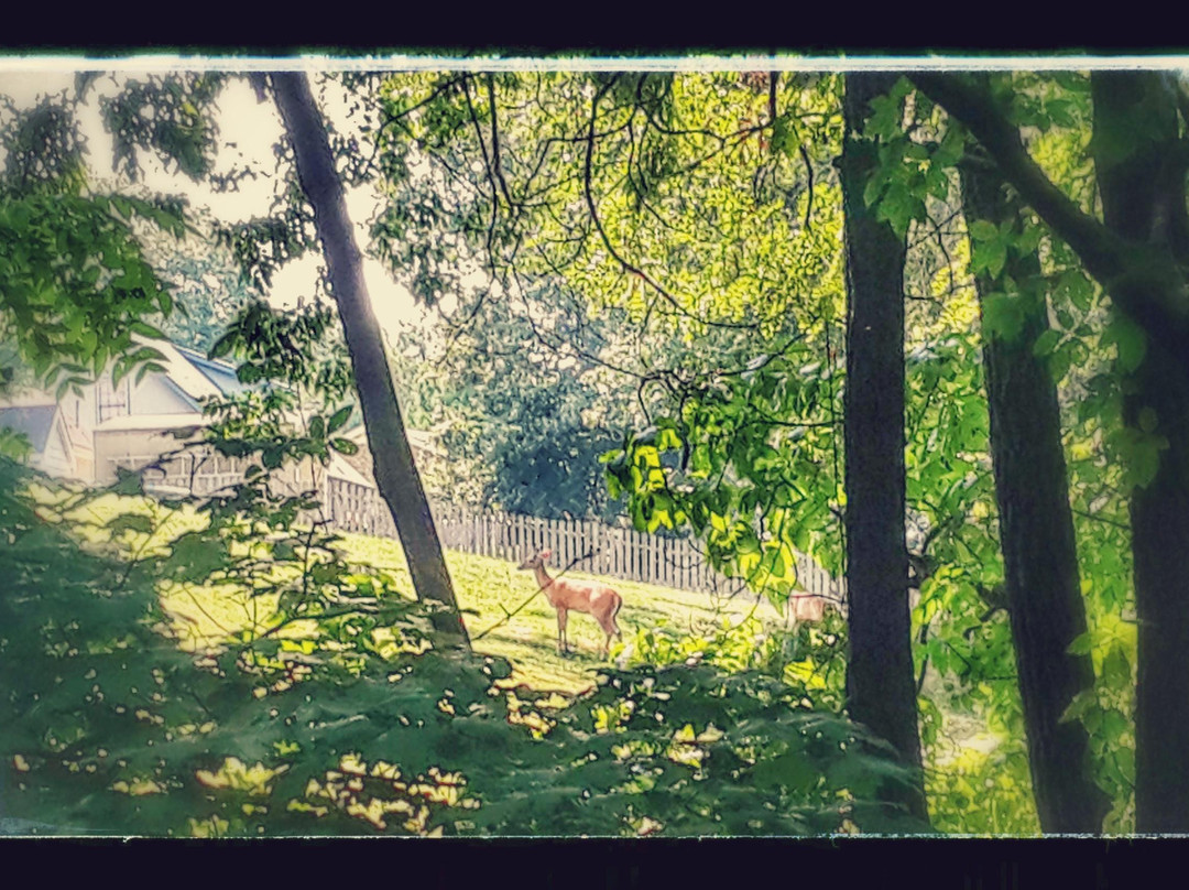 Clarksville Greenway-克拉克斯维尔必去景点