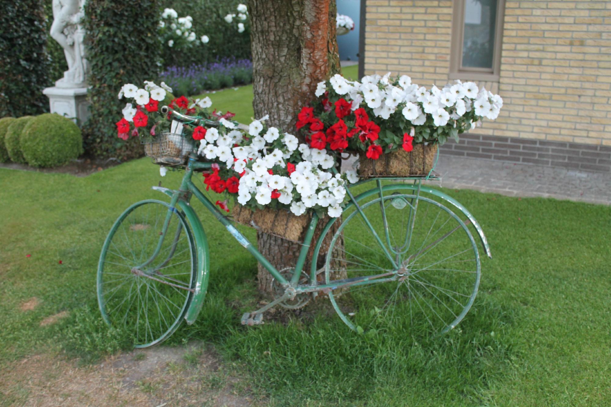 Bloemenweelde-客卧