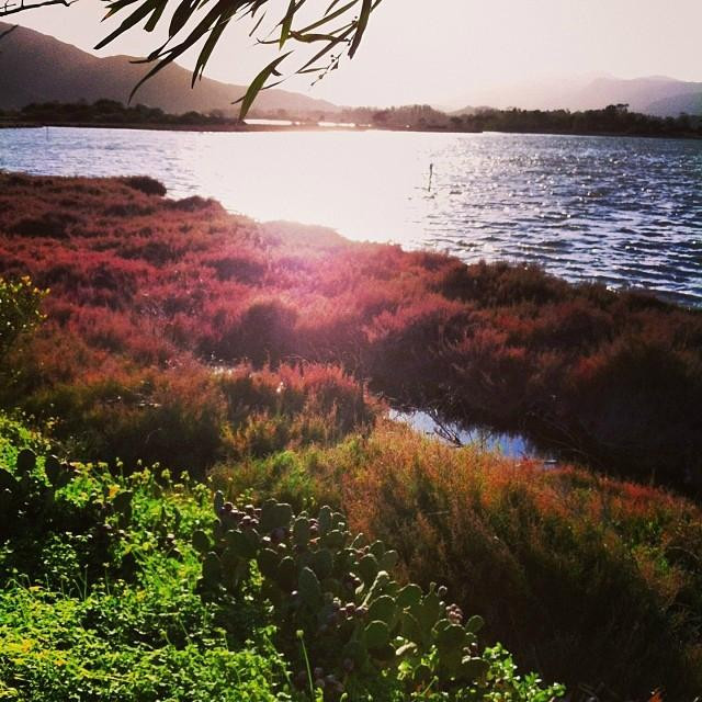 Stagno di Colostrai-Muravera必去景点