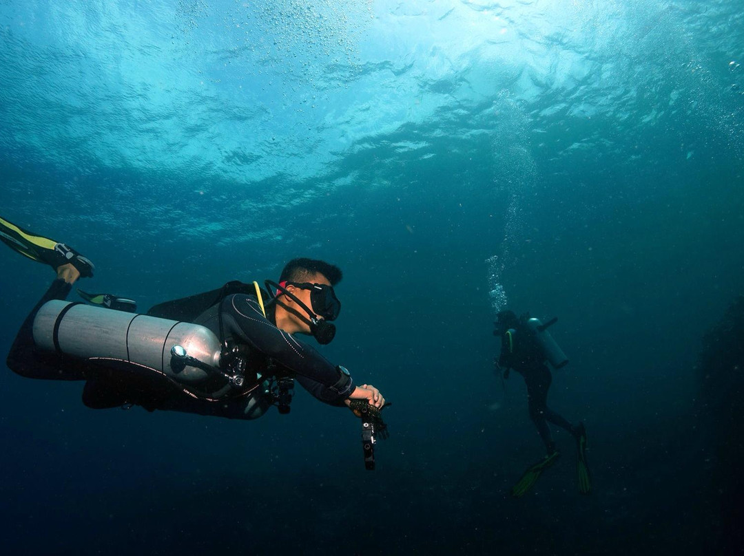 Al Mahara Diving Center-阿布扎比必去景点