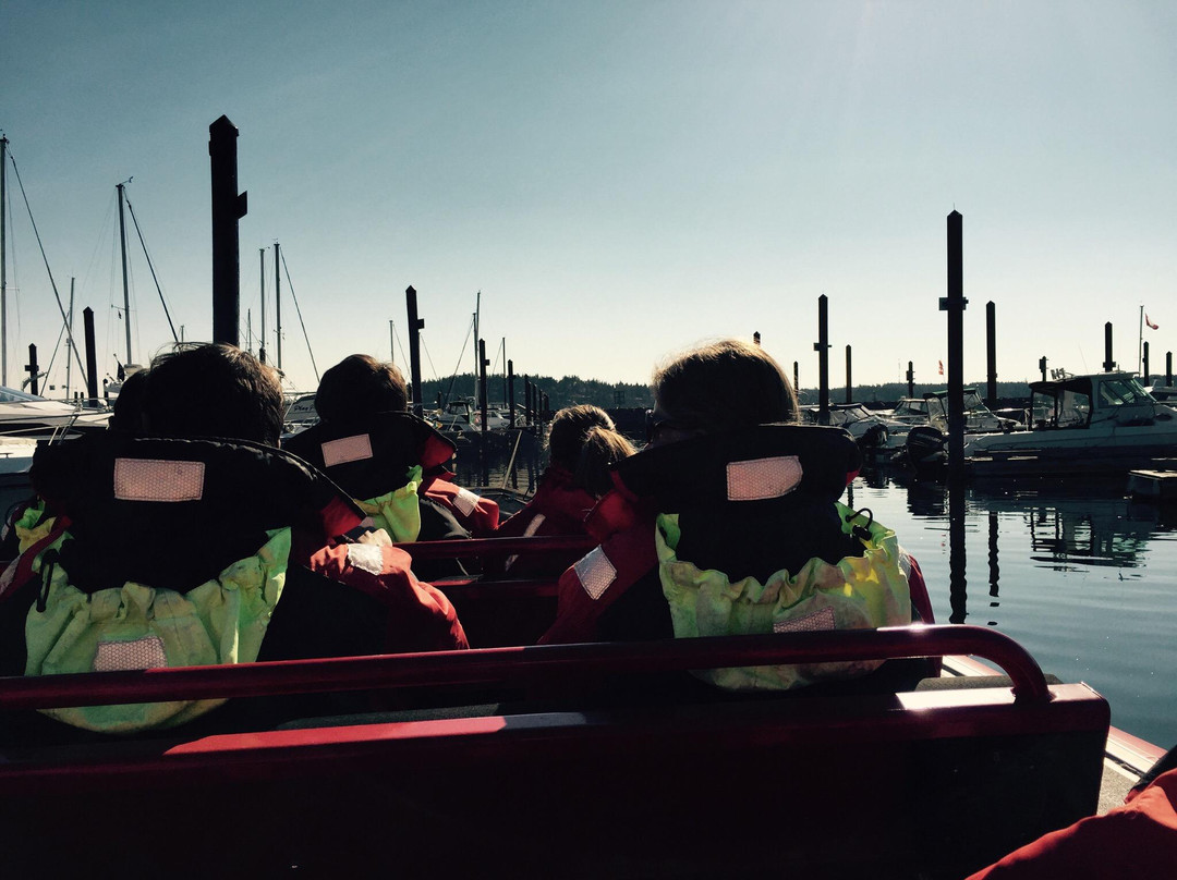 Campbell River Whale Watching and Adventure Tours-坎贝尔里弗必去景点