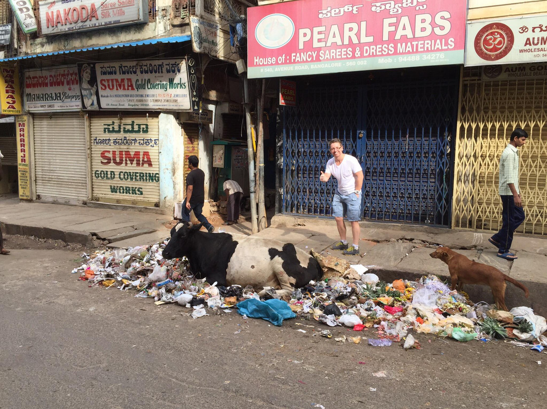 Travspire Bangalore Tours-班加罗尔必去景点