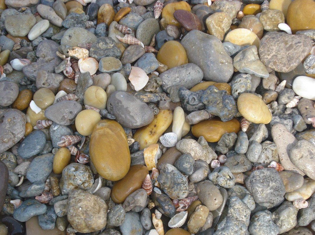 Plage des Aresquiers景点图片