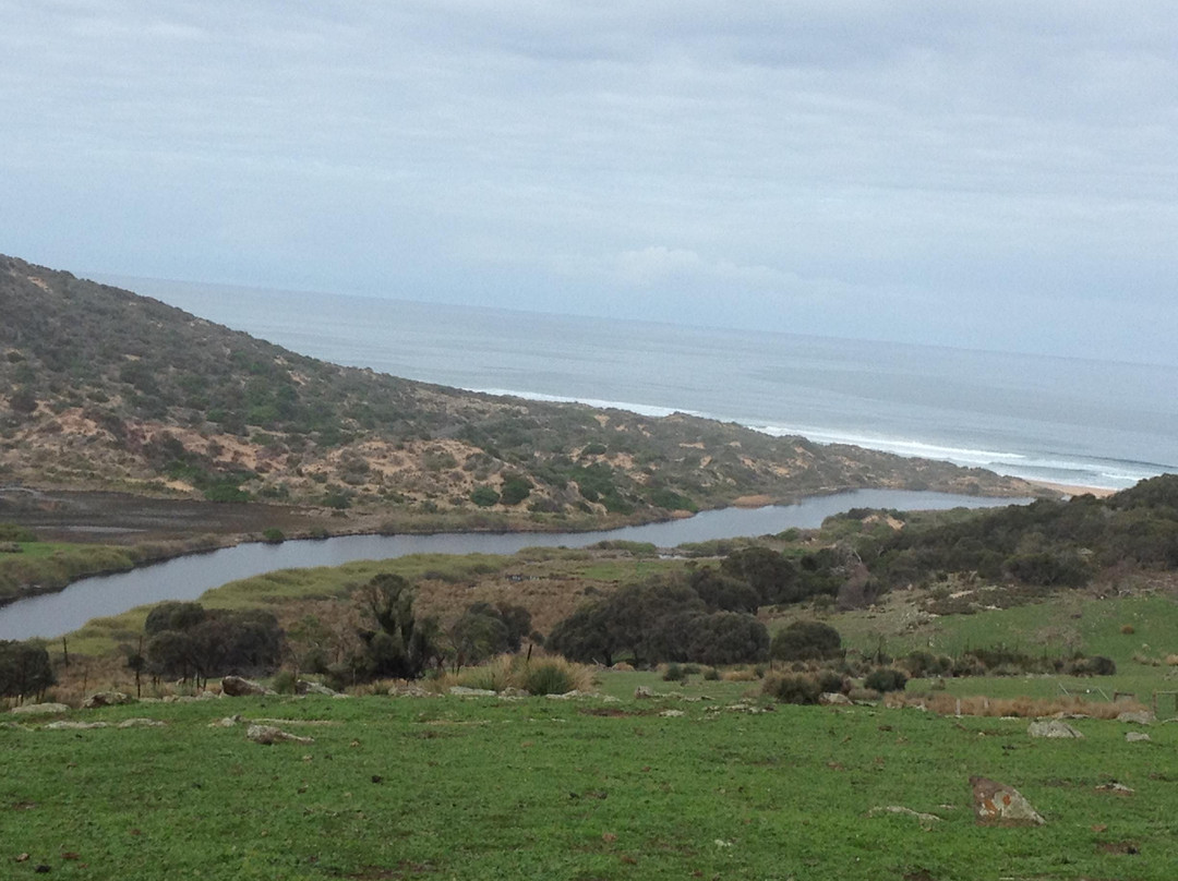 Waitpinga Farm Quad Bike Adventures-Waitpinga必去景点