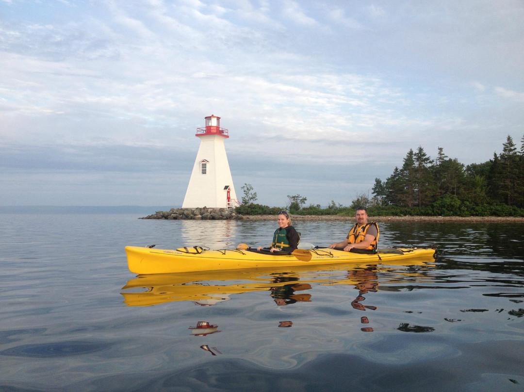 Paddledog Kayak Tours景点图片