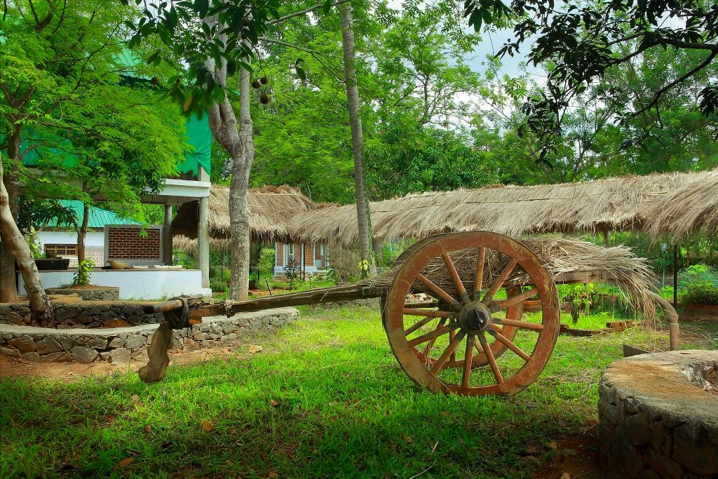 Green Gram Wellness Village主图