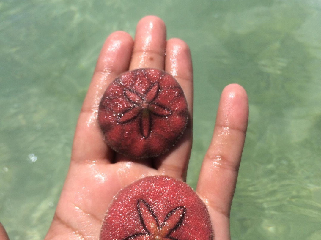 冲绳翡翠海滩景点图片