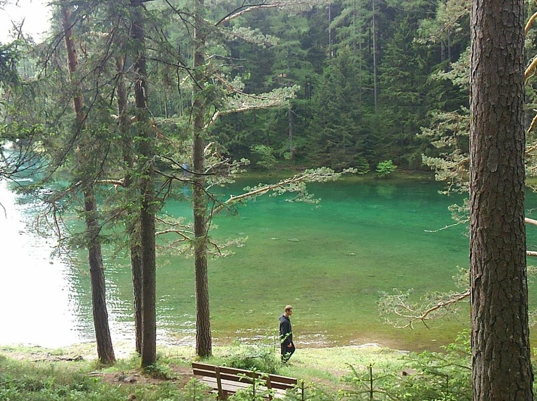 Green Lake景点图片