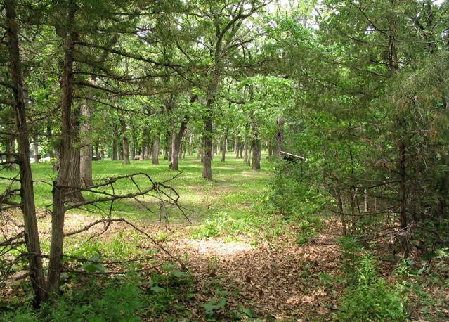 Cedar Creek Park-Fairmont必去景点