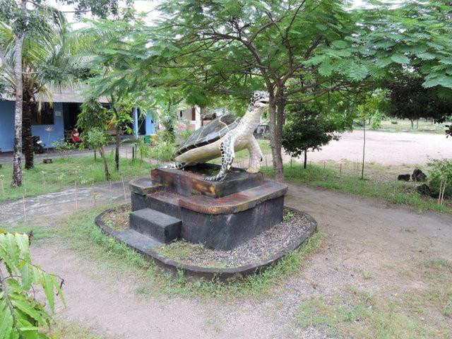 海龟保育和教育中心（TCEC）-Serangan必去景点