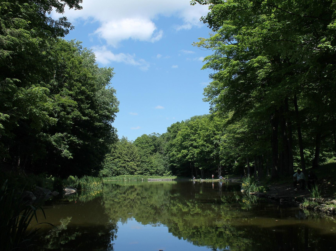 Glen Haffy Conservation Park-卡利登必去景点